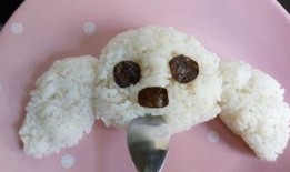 饭团小狗吃瓜,揭秘娱乐圈那些事儿