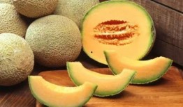 吃了哈密瓜吃西瓜,西瓜续写甘甜之旅