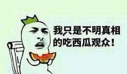 只能做吃瓜群众,吃瓜群众视角下的明星生活